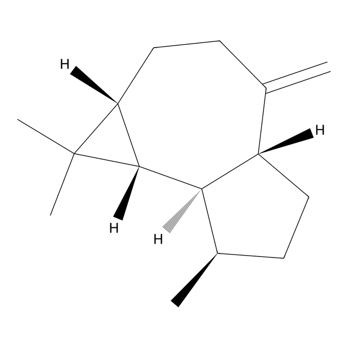 Aromadendrene