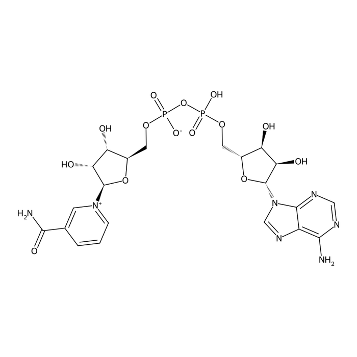 Nicotinamide Adenine Dinucleotide