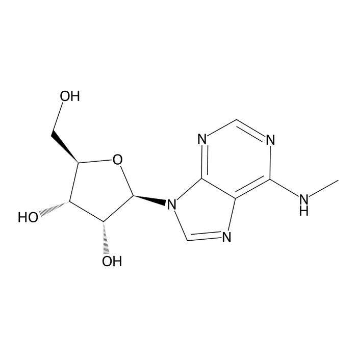 N6-Methyladenosine