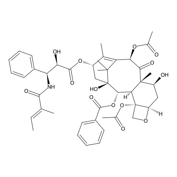 Paclitaxel Related Compound A