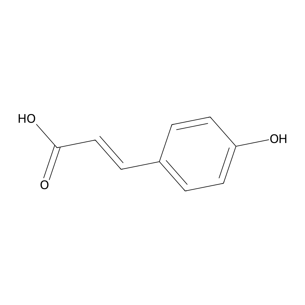 p-Coumaric acid — CRS
